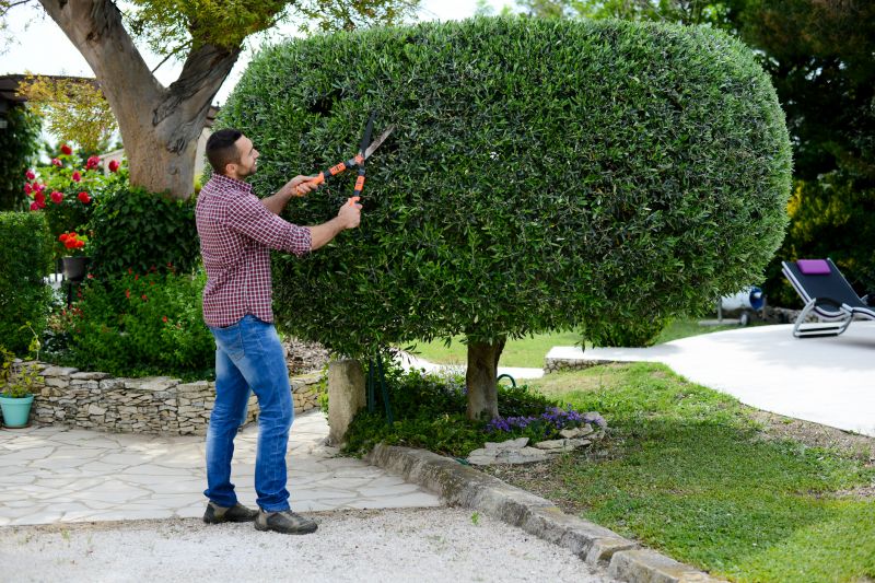 Bush and Shrub Trimming