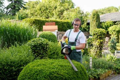 Bush and Shrub Trimming