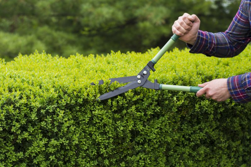 Shrub Care Equipment