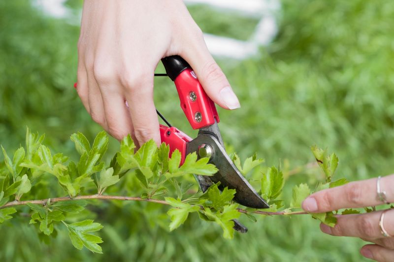 Shrub Trimming Tools